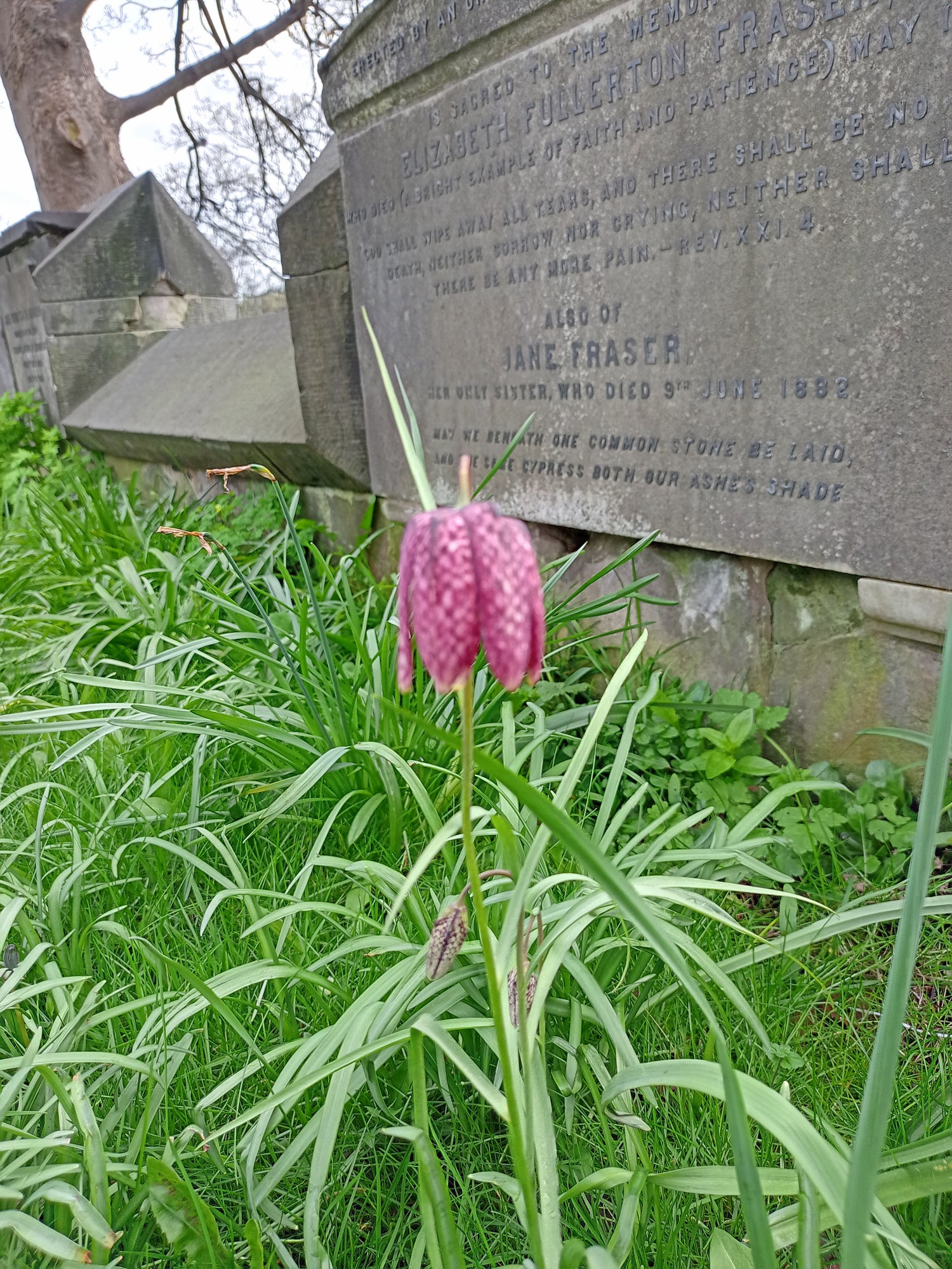 SWALLY (n) an alcoholic drink